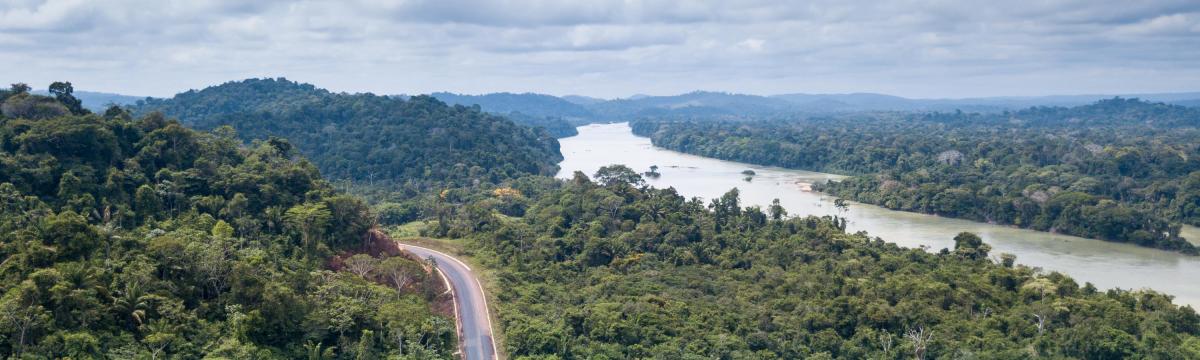 Amazônia: mais emprego e renda preservaria 81 milhões de hectares de floresta